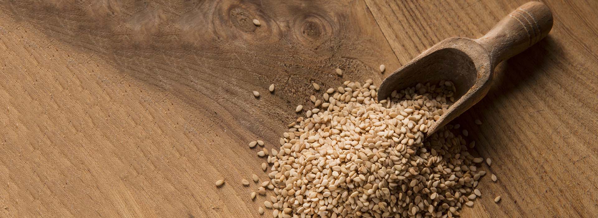 Agritech International