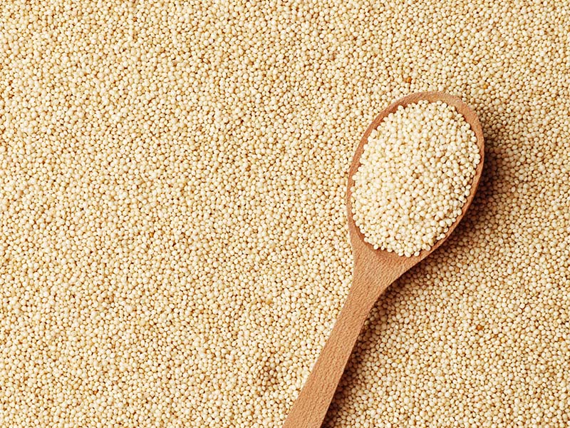 Organic Amaranth Seeds 