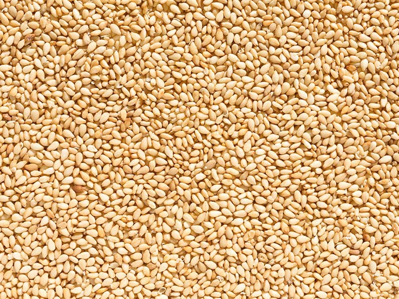 Organic Roasted Sesame Seeds