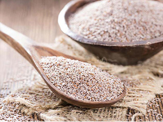 Organic Psyllium
