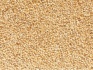 Organic Roasted Sesame Seeds
